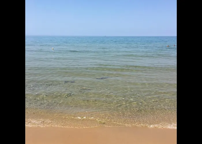 Conchiglia Azzurra